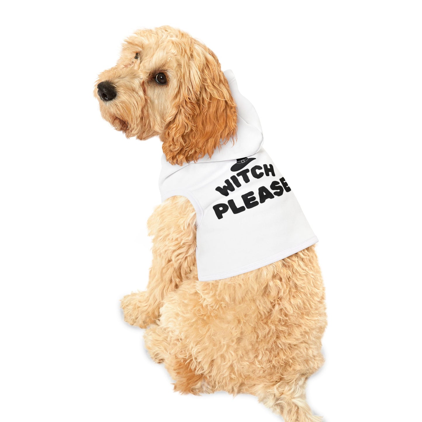 Witch Please Halloween Pet Hoodie